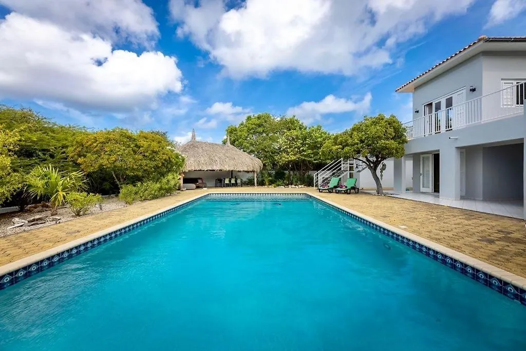 Coral Estate Rentals Curacao