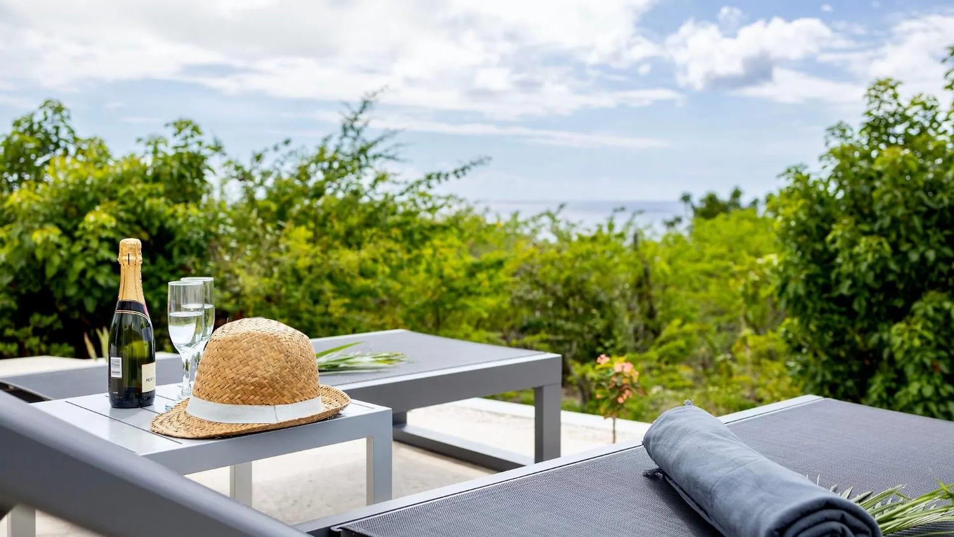 Coral Estate Rentals Curacao